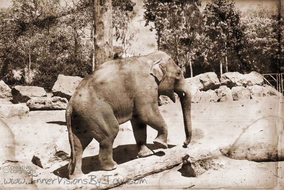 Antiqued and water-stained image of meandering elephant