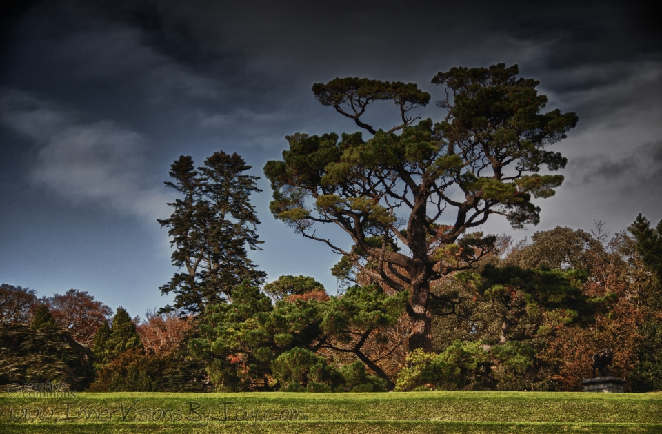 Powerscourt senery at dusk