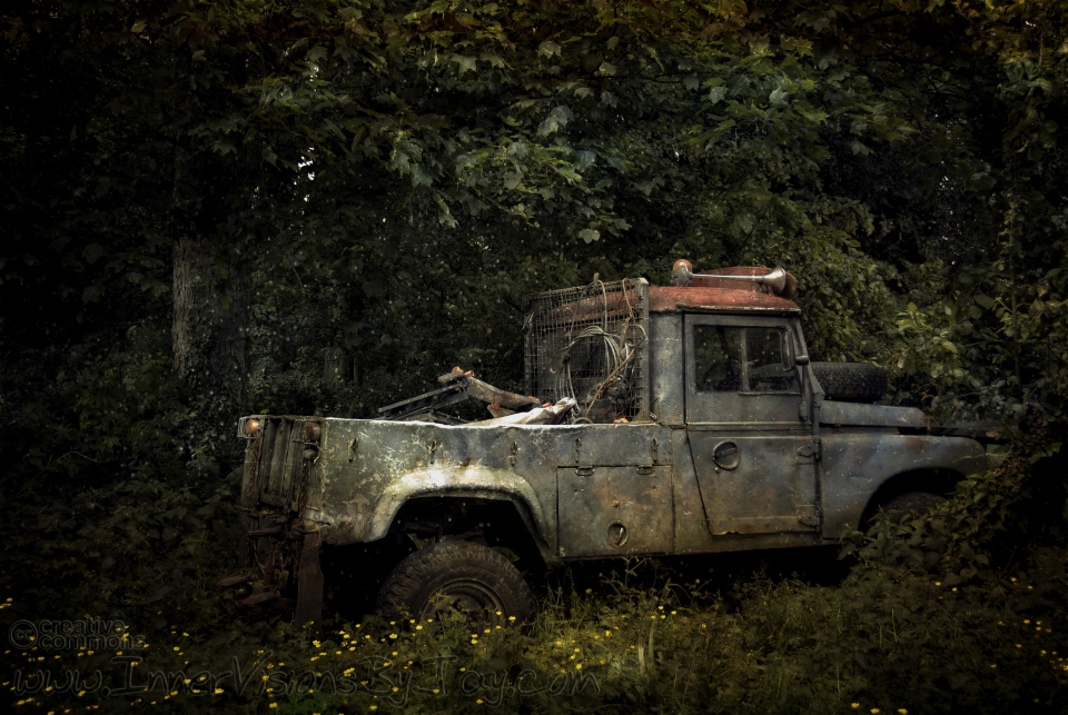 Decomissioned work truck wasting away in the forest