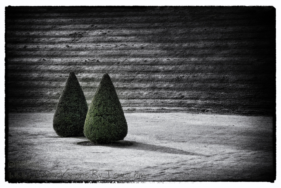 Wonderland's Gate Green cone-shaped bushes against black and white Vignette